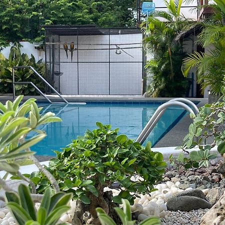 Parrot Resort Moalboal Bagian luar foto
