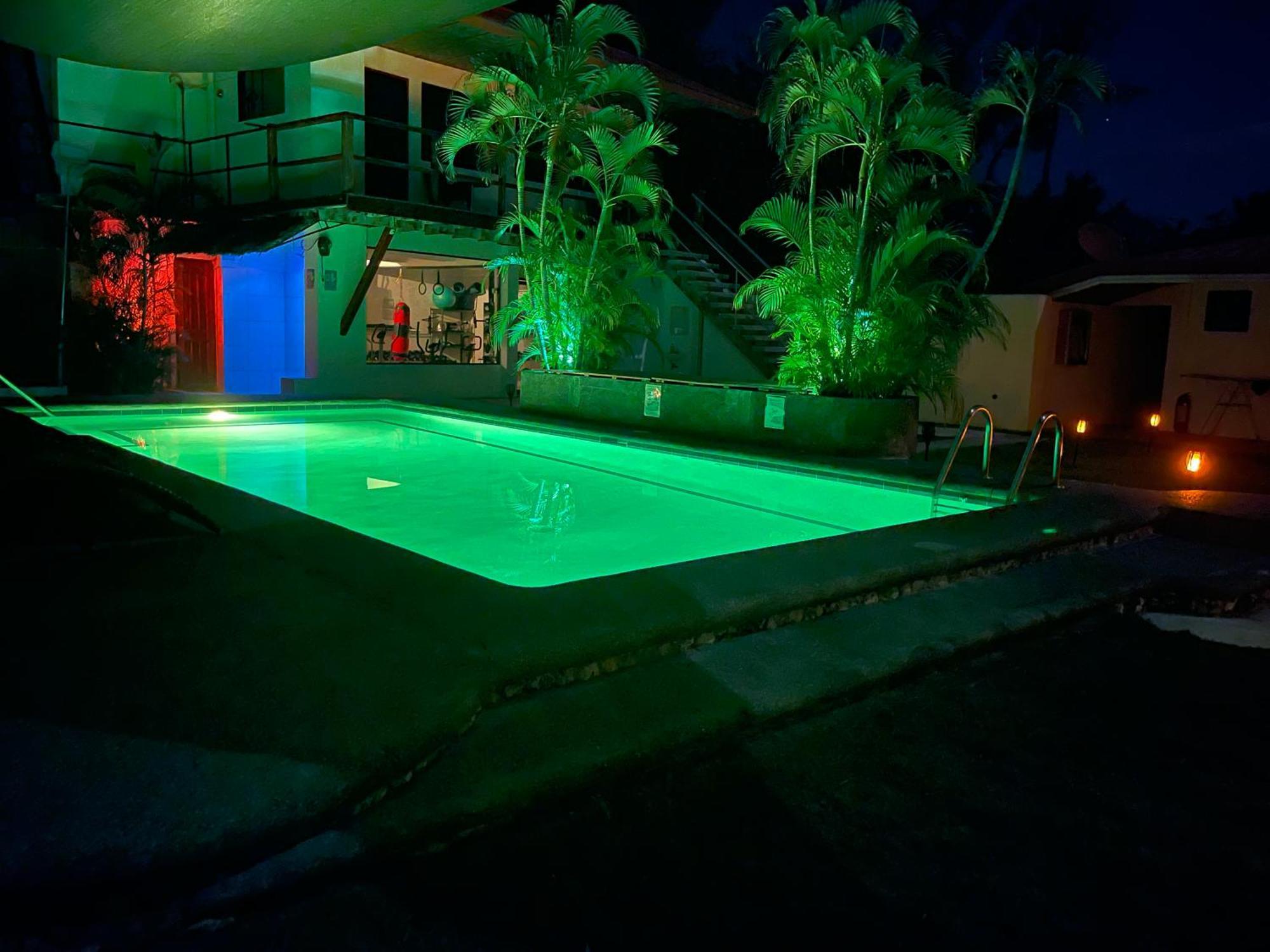 Parrot Resort Moalboal Bagian luar foto
