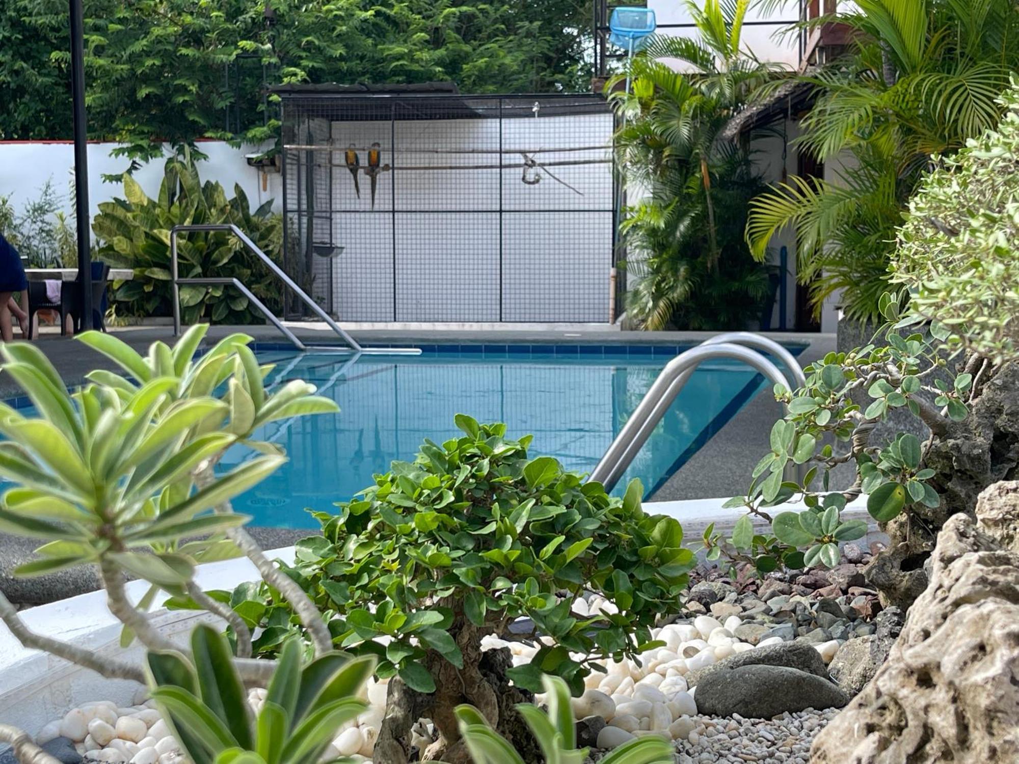 Parrot Resort Moalboal Bagian luar foto